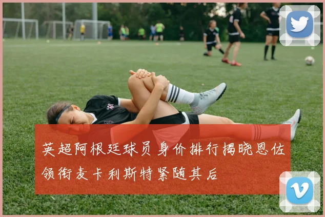 英超阿根廷球员身价排行揭晓恩佐领衔麦卡利斯特紧随其后