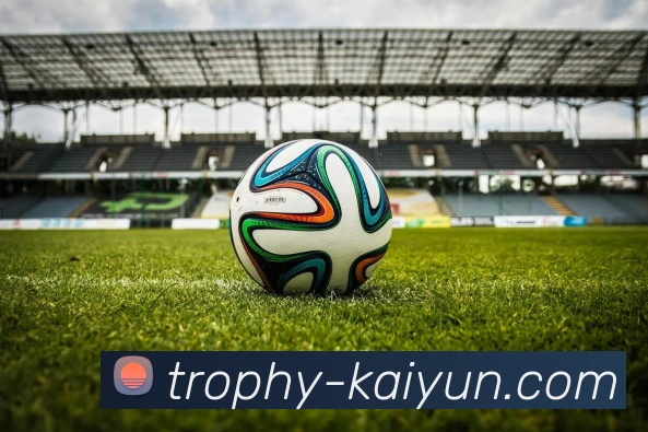 开云官网发展历程