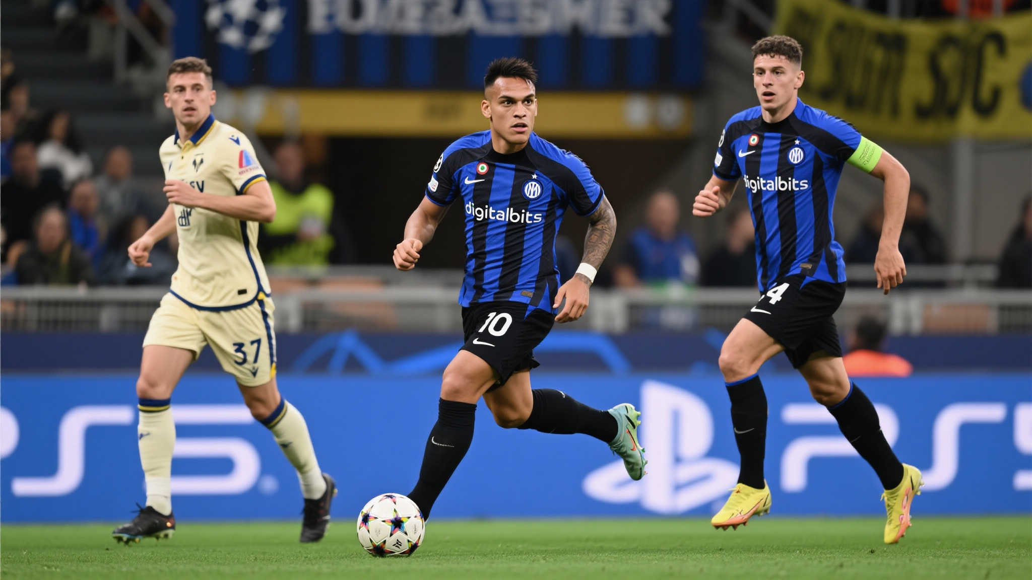 展至关重要 展至关重要