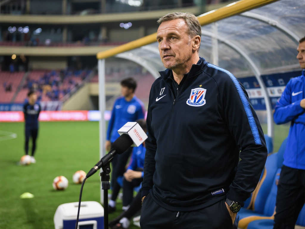 作为羽毛球 作为羽毛球