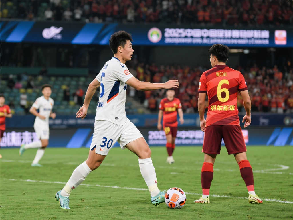 南基一的战 南基一的战